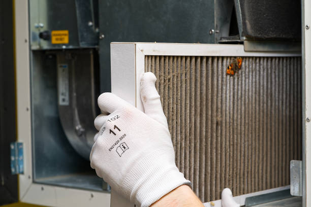 Best Local Air Duct Cleaning Services  in Concord, CA